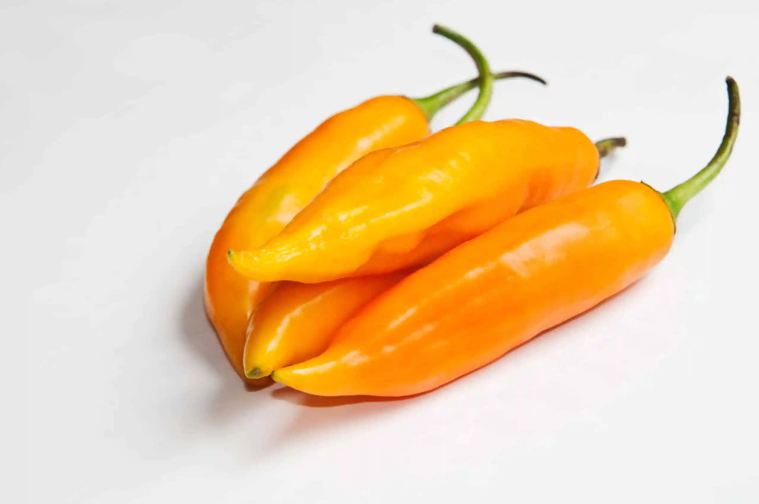 Aji Crema Traverso 6X18X100 Sachet